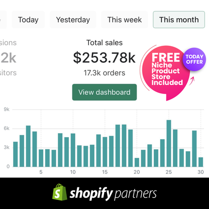 4 Weeks TikTok Ads Management + FREE GENERAL STORE